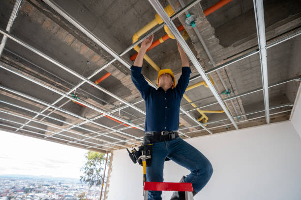 Best Plumbing Repair Near Me  in Sycamore, IL