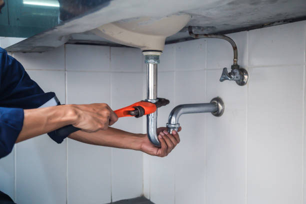 Best Plumbing Inspection Services  in Sycamore, IL